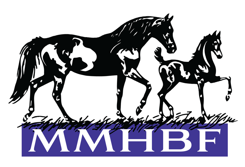 Michigan Morgan Futurity