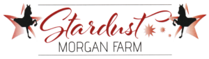 Stardust Morgan Farm