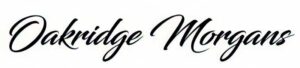 OakRidge Morgans