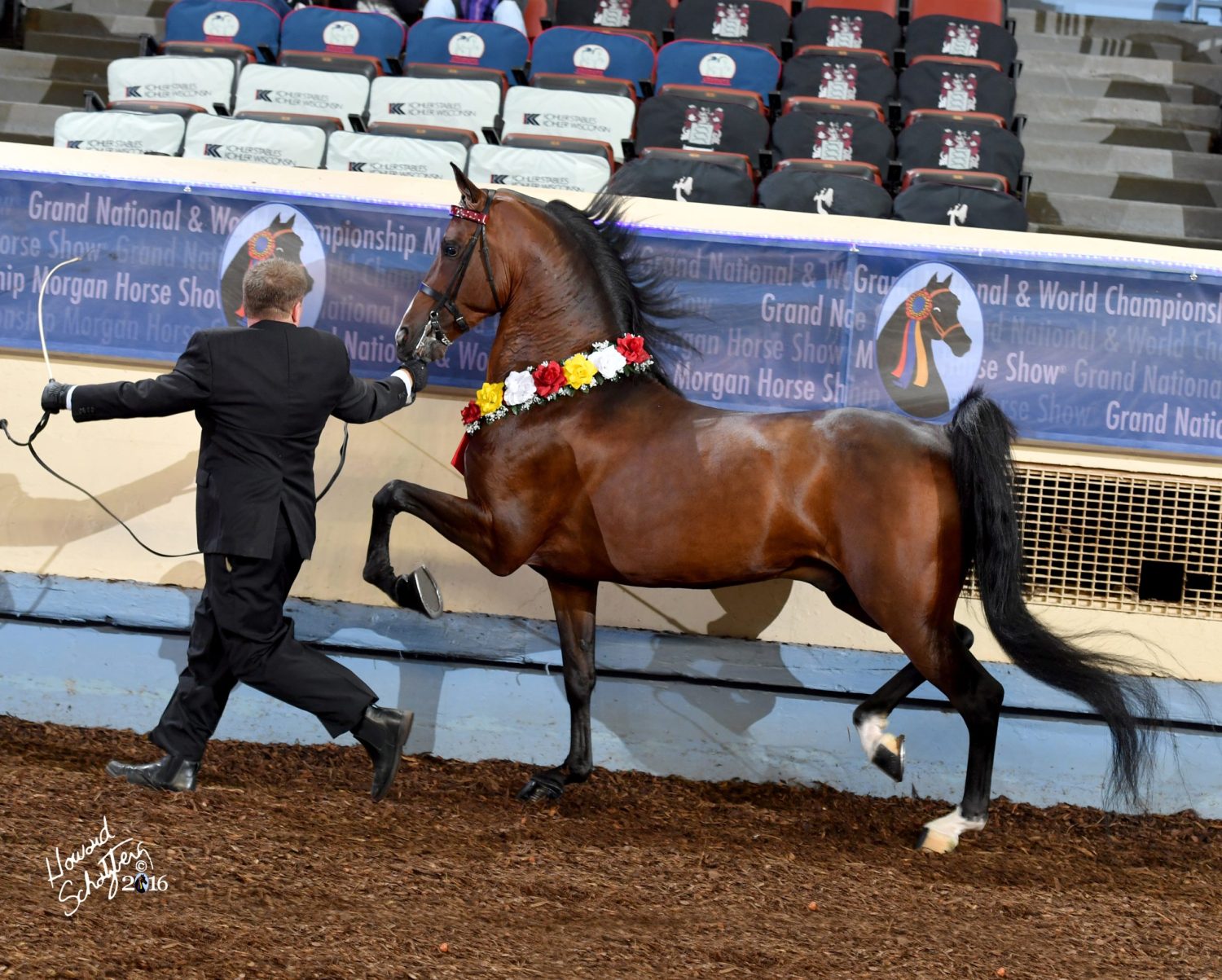 FieldcrestCaptainEclectic