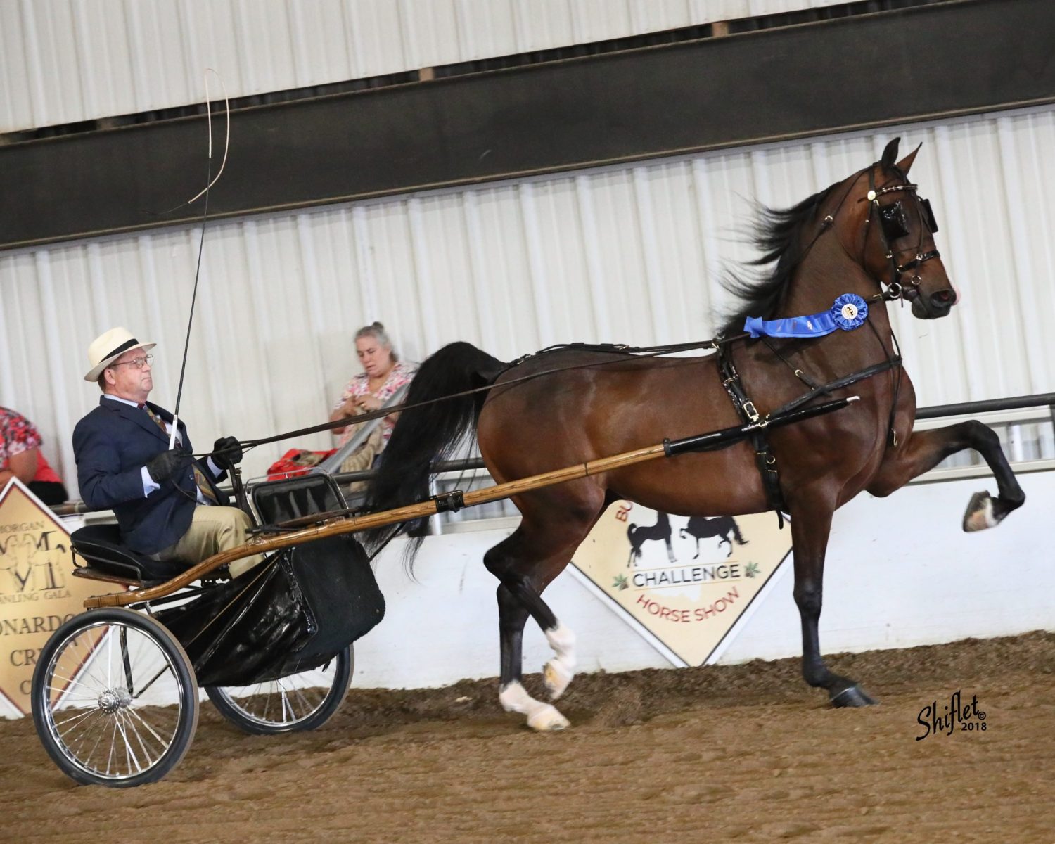 Fieldcrest Uptown Hunk, by FieldcrestCaptainEclectic