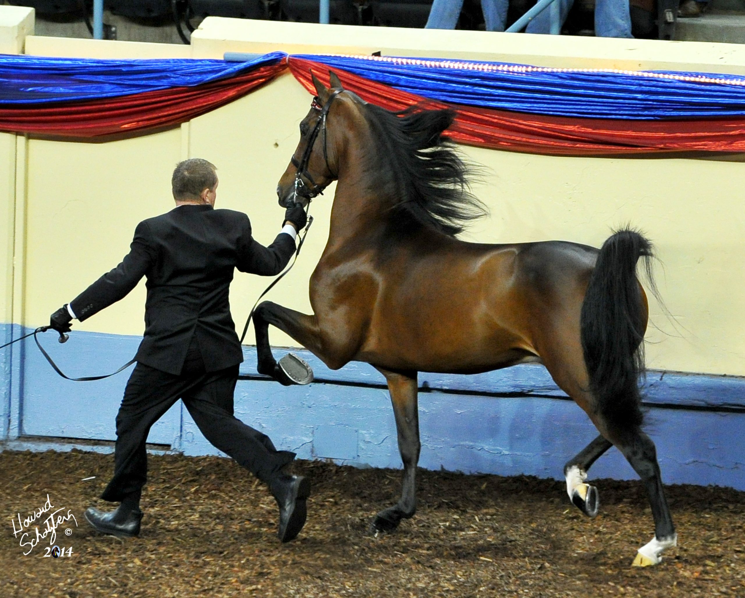 FieldcrestCaptainEclectic