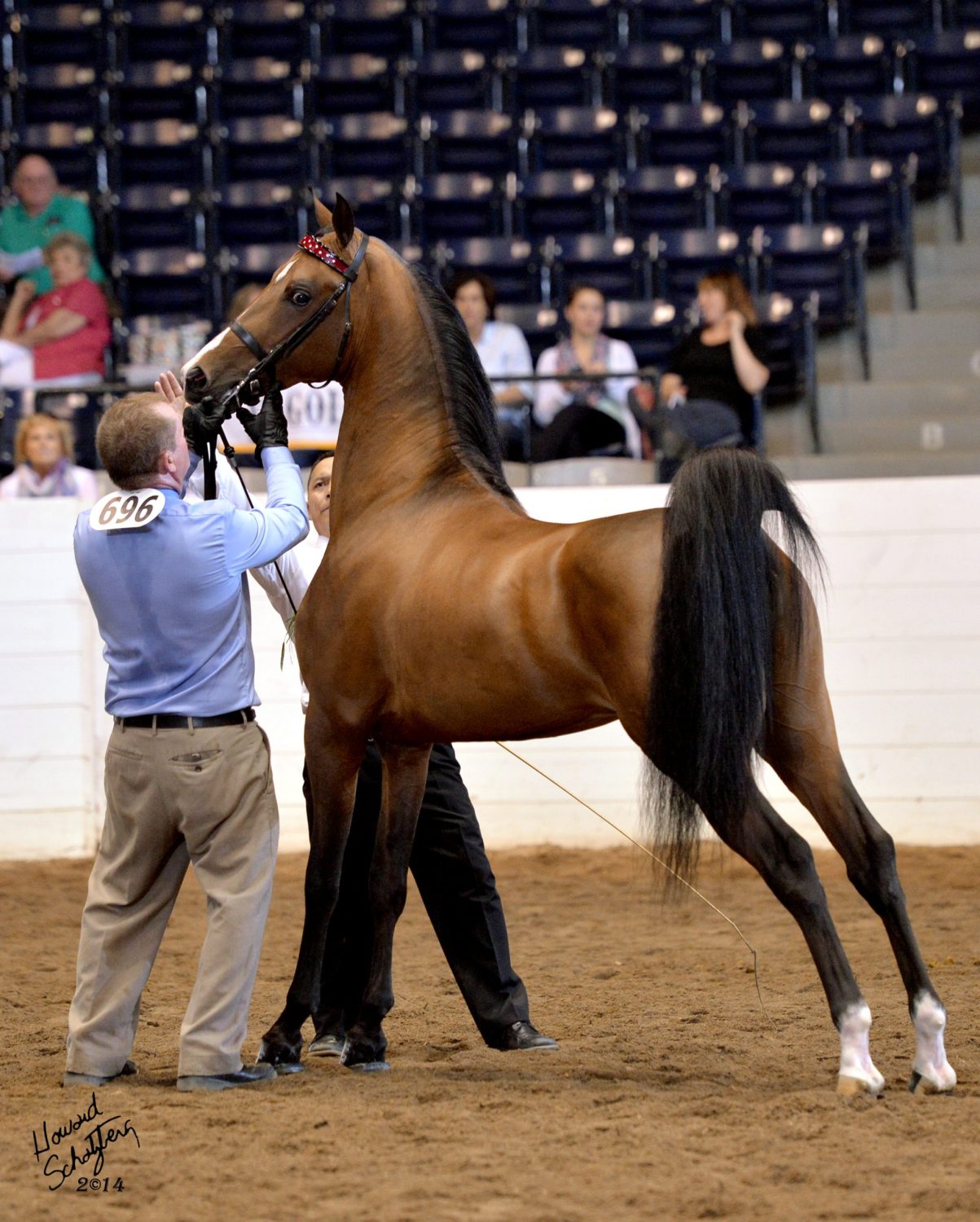 FieldcrestCaptainEclectic