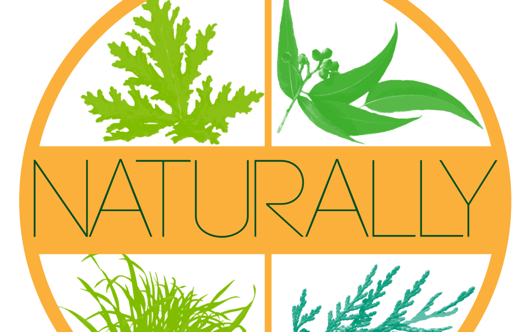 Shoo-Fly Naturally Fly Repellant Gallon