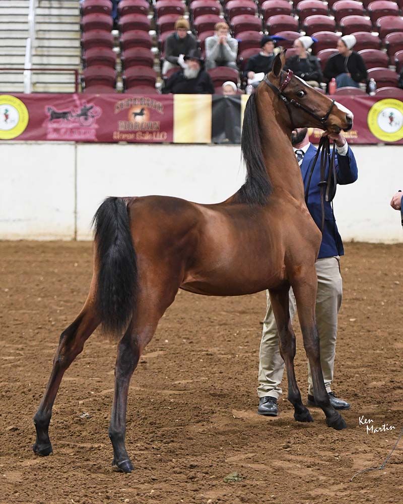 Total Redemption, by FieldcrestCaptainEclectic