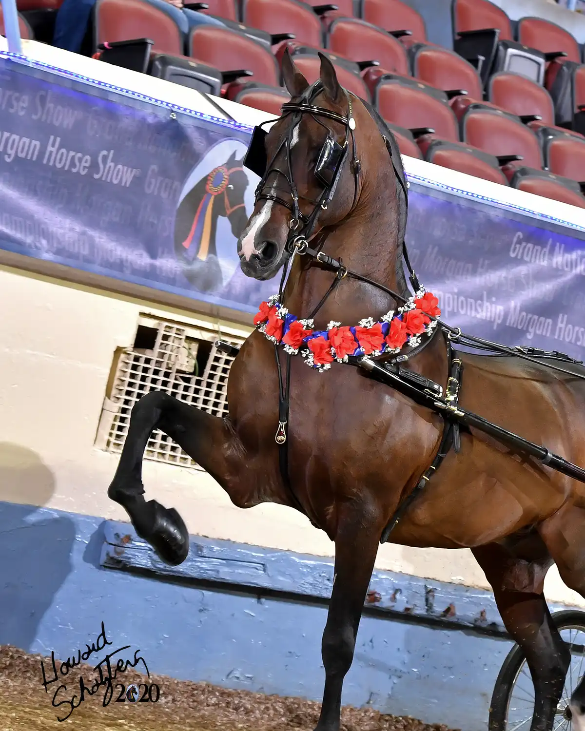 fieldcrestCaptainEclectic