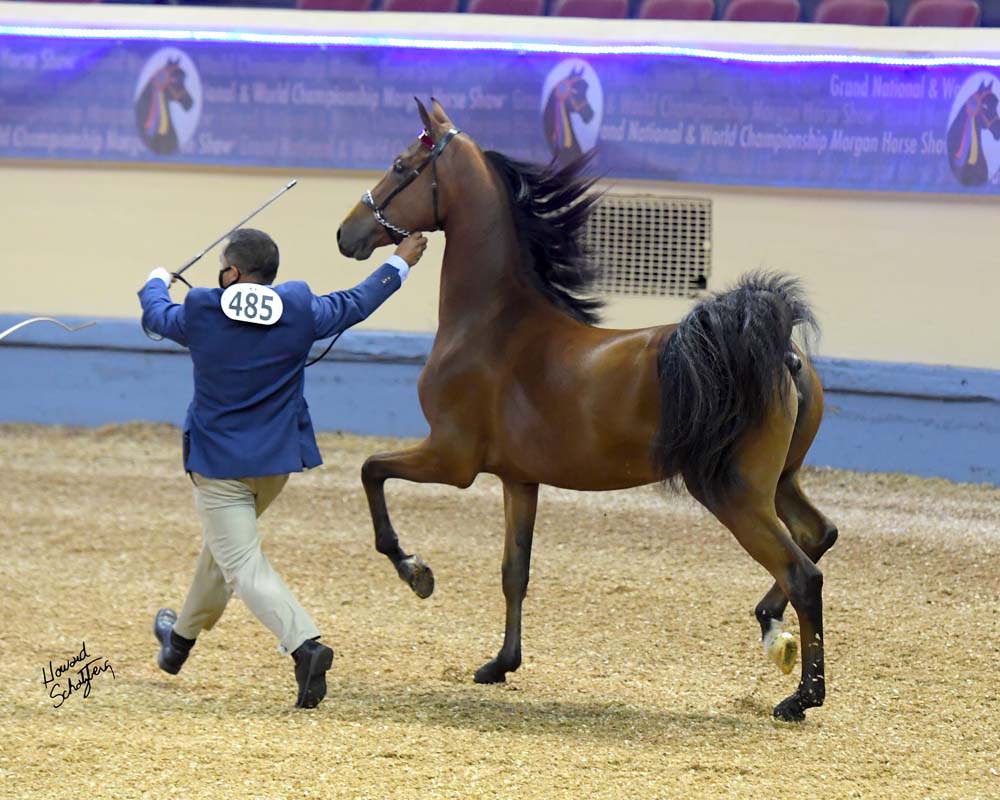 Miz Fire Dancer, by FieldcrestCaptainEclectic